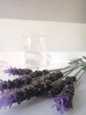 Lavender Essential Oil  (Lavendin Abrialis)