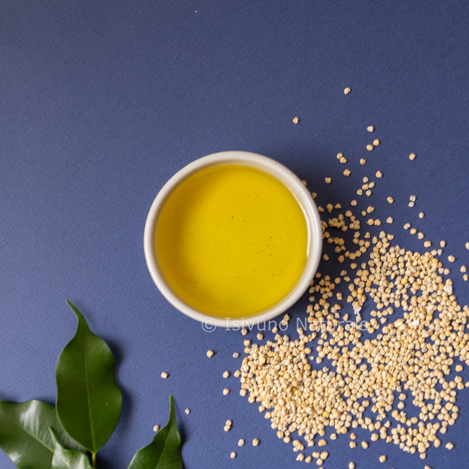 Prickly Pear Seed Oil