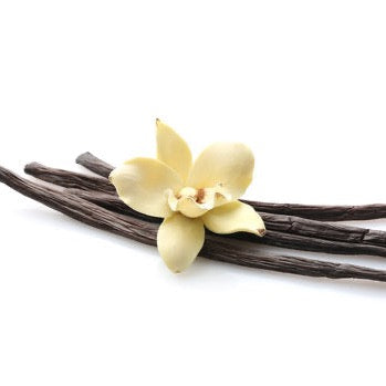 Vanilla Fragrance Oil - Isivuno Naturals