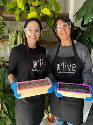 Soapmaking Workshop (Hands On)