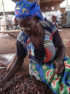 Woman sorting shea nuts by hand during traditional unrefined shea butter production in Ghana.