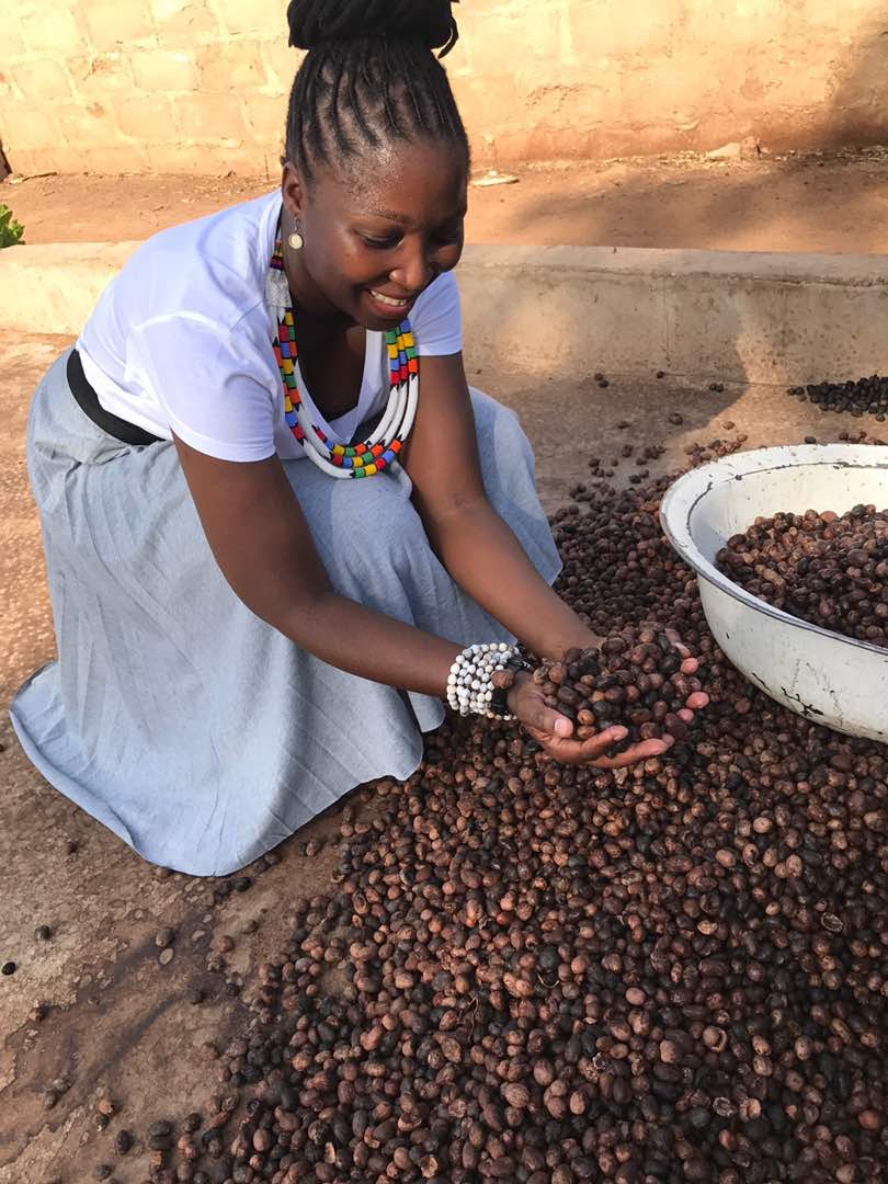 Handful of brown nuts