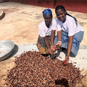 Raw shea nuts harvested in Ghana with the women's co-operative supplying Isivuno Naturals.