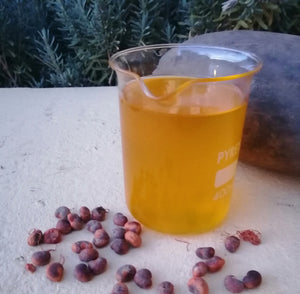 Organin Baobab oil in South Africa. Uses of Baoba oil