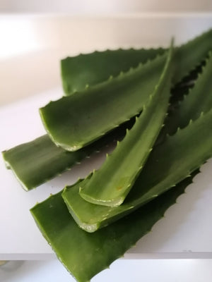 Healing aloe vera gel for skincare