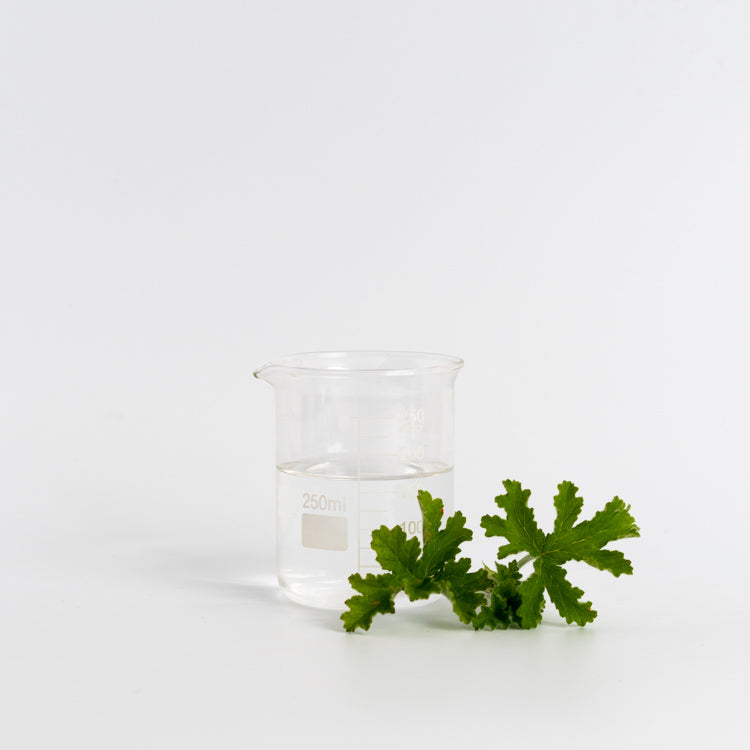 Rose Geranium Hydrosol for use in cosmetics
