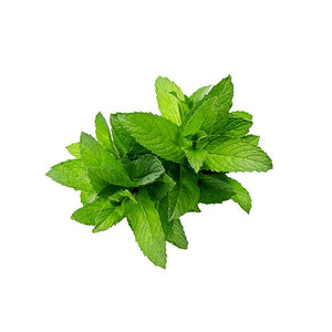 Peppermint Essential Oil