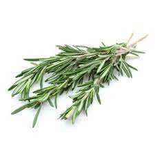 Rosemary Officinalis Verbenone Hydrosol - Organic