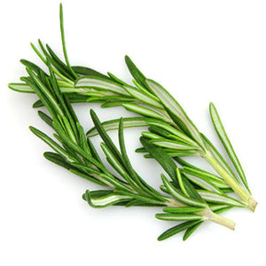 Rosemary (Verbenone) Essential Oil