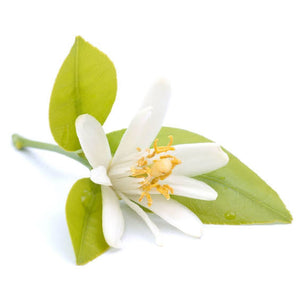 Neroli (Orange Blossom) Essential Oil (Light)